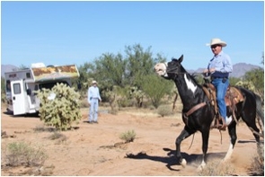 At the UA-Zonge engineering test site in the Sonoran Desert near Tucson, Brad Cowan of Cowan Horse Adventures in Southwest Tucson takes his 1,300-pound mare at a trot across the buried fiber-optic cable, which is connected to a Helios detection unit in the RV in the background. At the UA-Zonge engineering test site in the Sonoran Desert near Tucson, Brad Cowan of Cowan Horse Adventures in Southwest Tucson takes his 1,300-pound mare at a trot across the buried fiber-optic cable, which is connected to a Helios detection unit in the RV in the background.